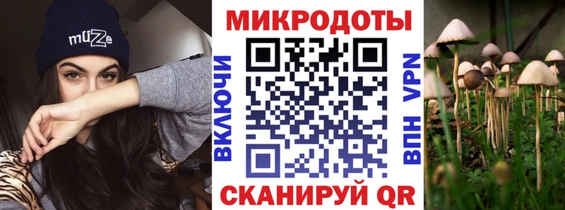 Купить  Ижевск  Псилоцибиновые грибы прущие грибы 