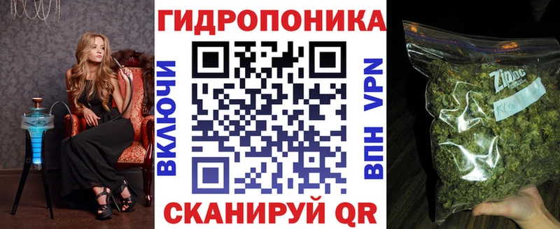 Бошки Шишки индика  Купить закладки  Ижевск 